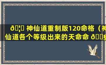 🦊 神仙道重制版120命格（神仙道各个等级出来的天命命 🐧 格）